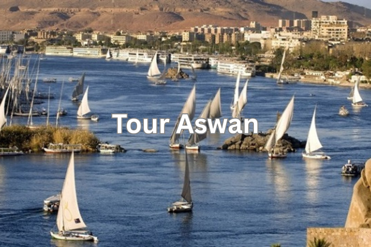 tour aswan