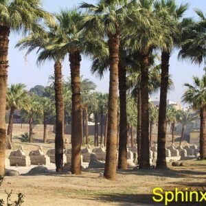 Full day in Luxor East Bank & West Bank
