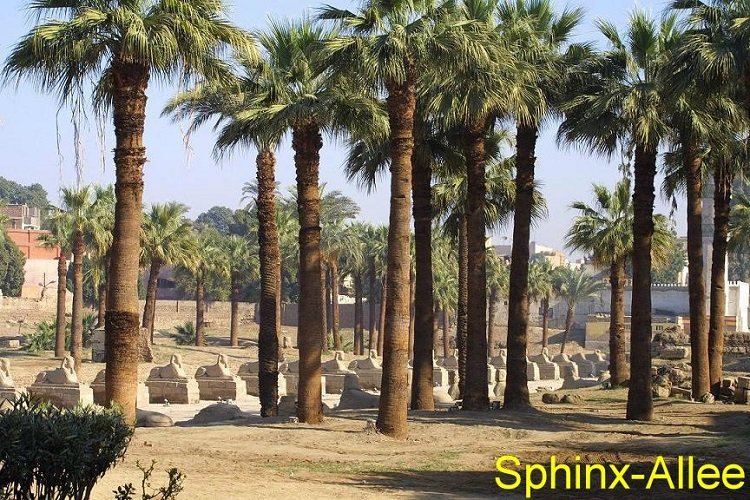 Full day in Luxor East Bank & West Bank