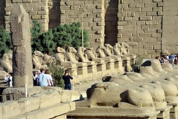 Half Day East Bank IN LUXOR