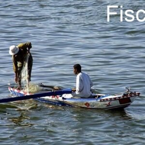 Tour Felucca in Luxor